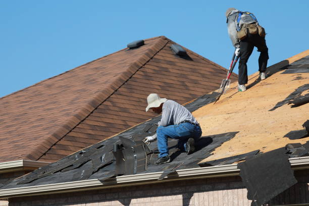 Skylights in Wonder Lake, IL